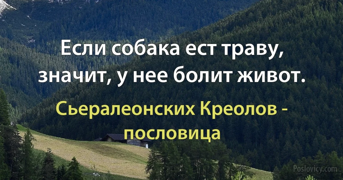 Если собака ест траву, значит, у нее болит живот. (Сьералеонских Креолов - пословица)