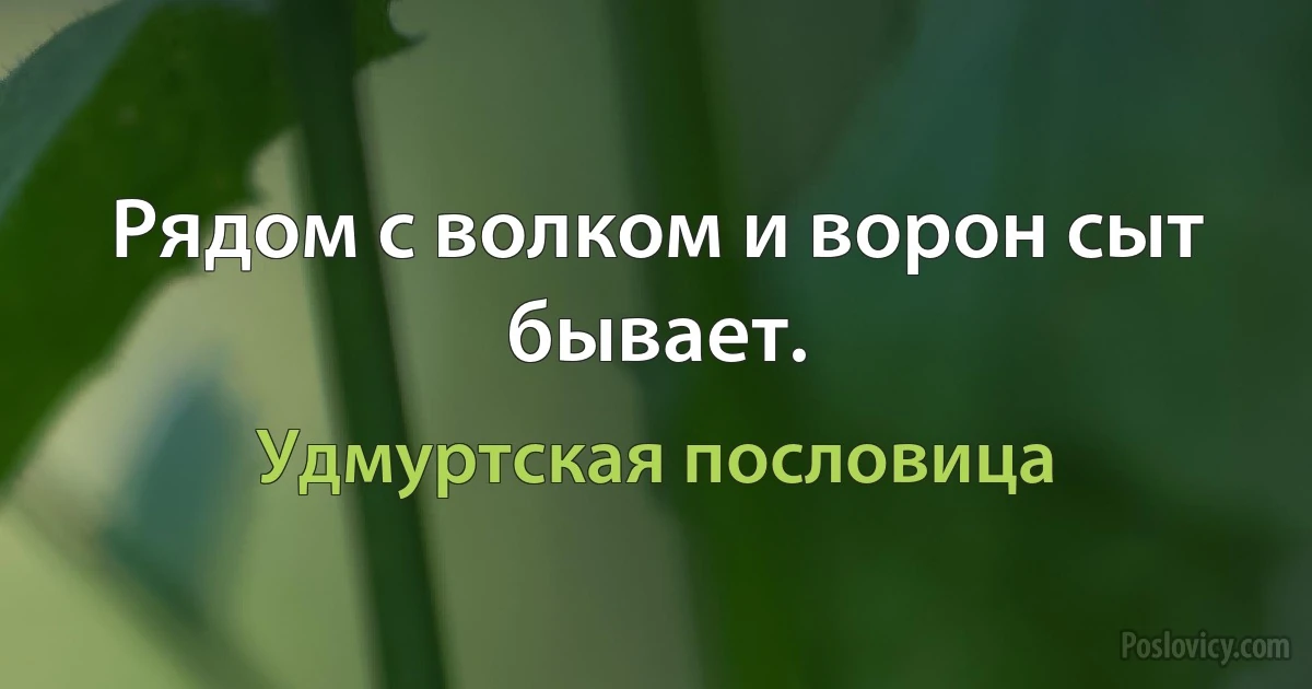 Рядом с волком и ворон сыт бывает. (Удмуртская пословица)