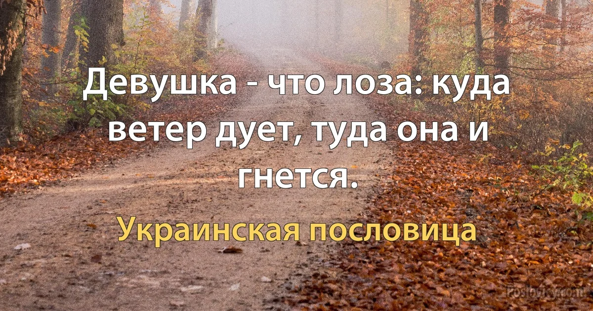 Девушка - что лоза: куда ветер дует, туда она и гнется. (Украинская пословица)