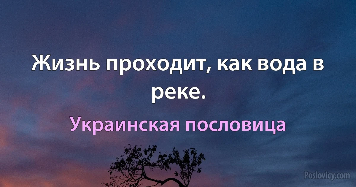 Жизнь проходит, как вода в реке. (Украинская пословица)