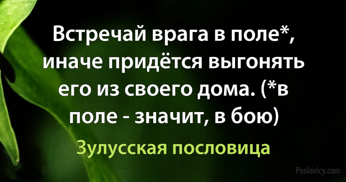 Встречай врага в поле*, иначе придётся выгонять его из своего дома. (*в поле - значит, в бою) (Зулусская пословица)