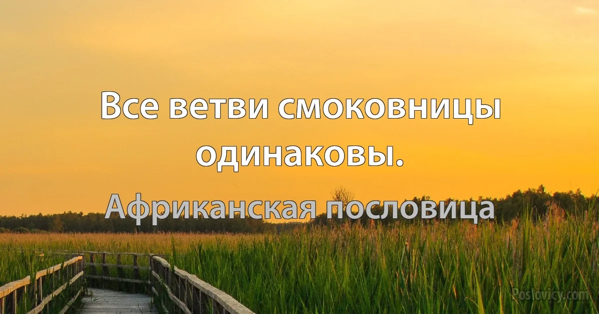 Все ветви смоковницы одинаковы. (Африканская пословица)