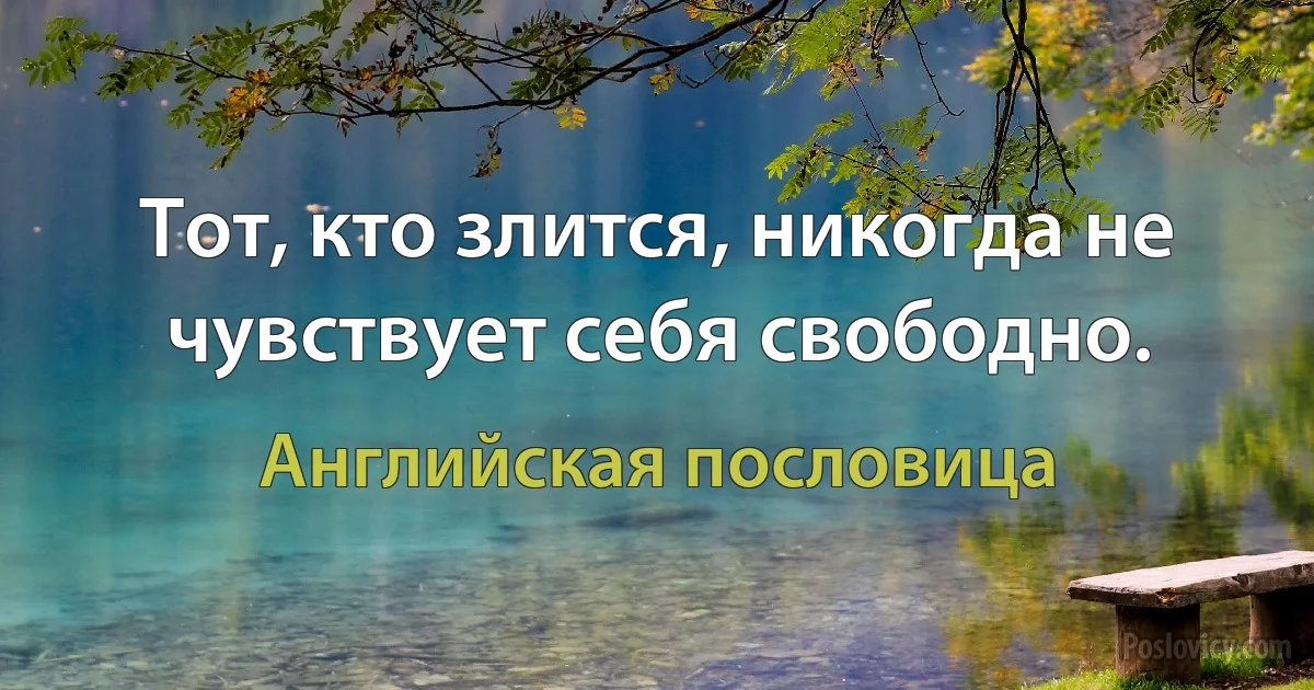 Тот, кто злится, никогда не чувствует себя свободно. (Английская пословица)