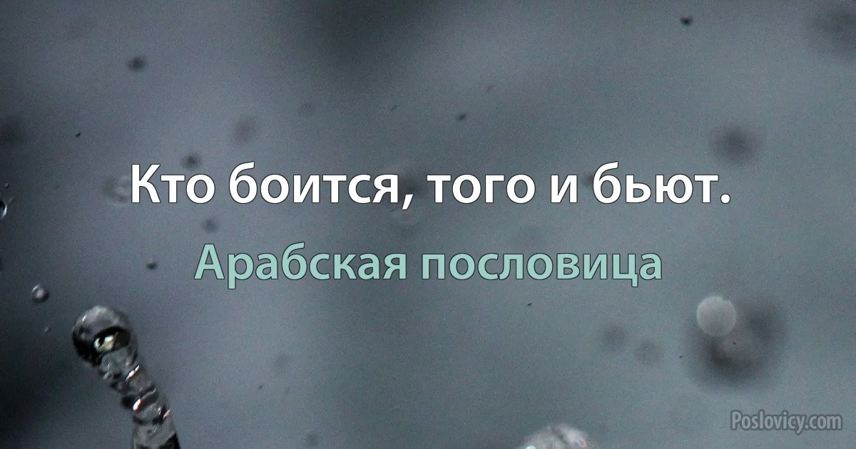 Кто боится, того и бьют. (Арабская пословица)