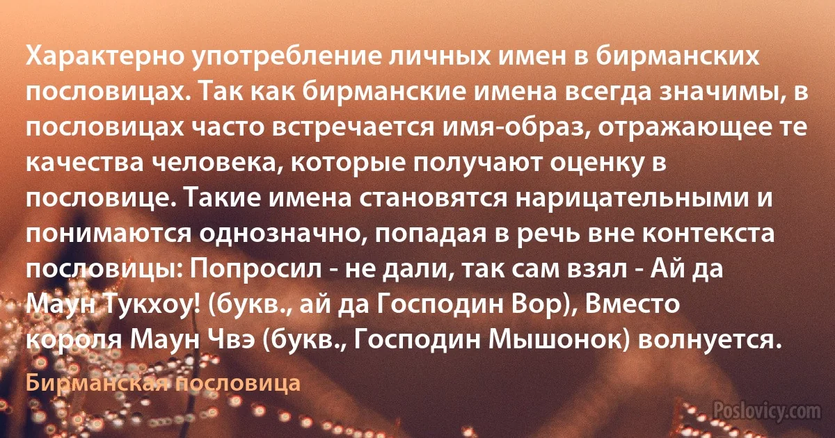 Характерно употребление личных имен в бирманских пословицах. Так как бирманские имена всегда значимы, в пословицах часто встречается имя-образ, отражающее те качества человека, которые получают оценку в пословице. Такие имена становятся нарицательными и понимаются однозначно, попадая в речь вне контекста пословицы: Попросил - не дали, так сам взял - Ай да Маун Тукхоу! (букв., ай да Господин Вор), Вместо короля Маун Чвэ (букв., Господин Мышонок) волнуется. (Бирманская пословица)