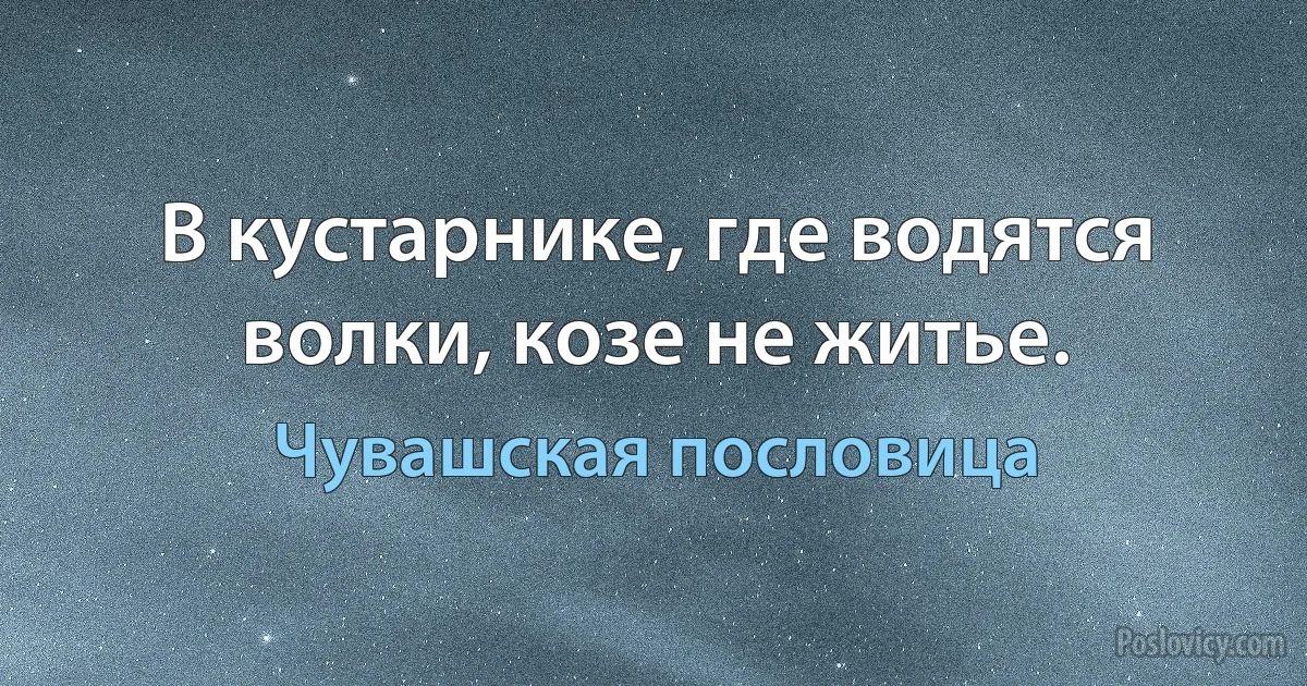 В кустарнике, где водятся волки, козе не житье. (Чувашская пословица)