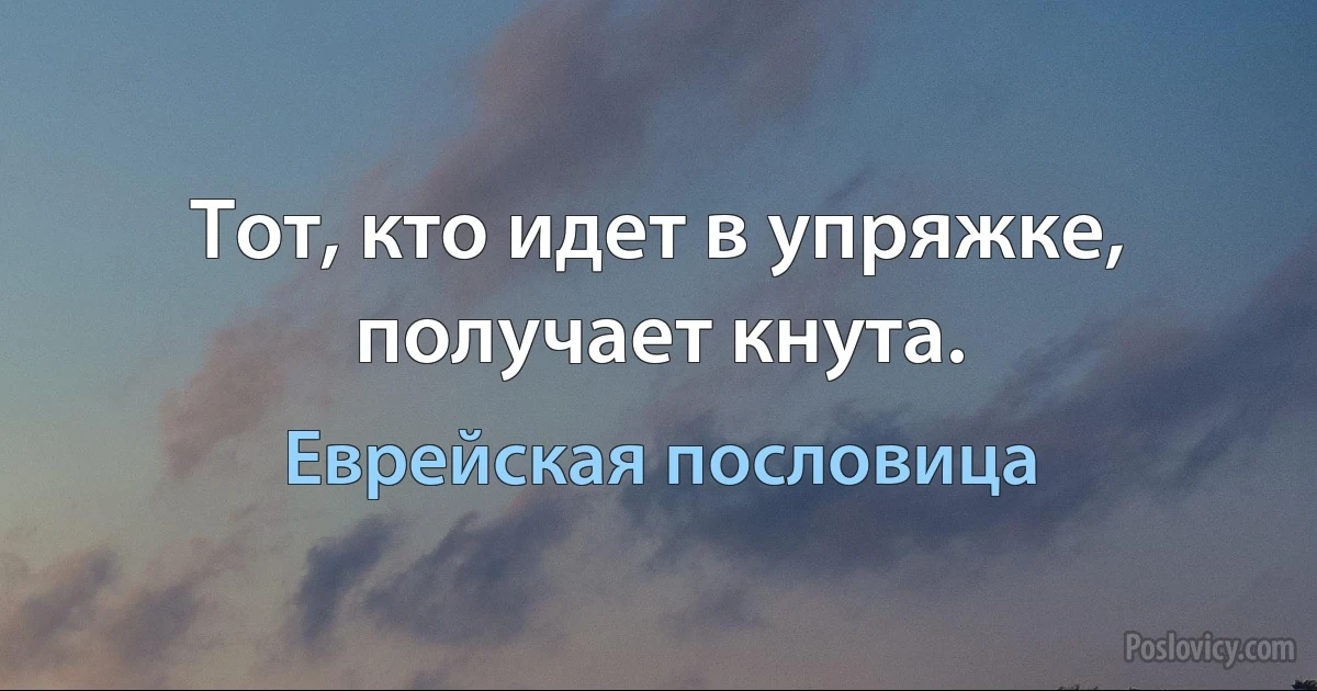 Тот, кто идет в упряжке, получает кнута. (Еврейская пословица)