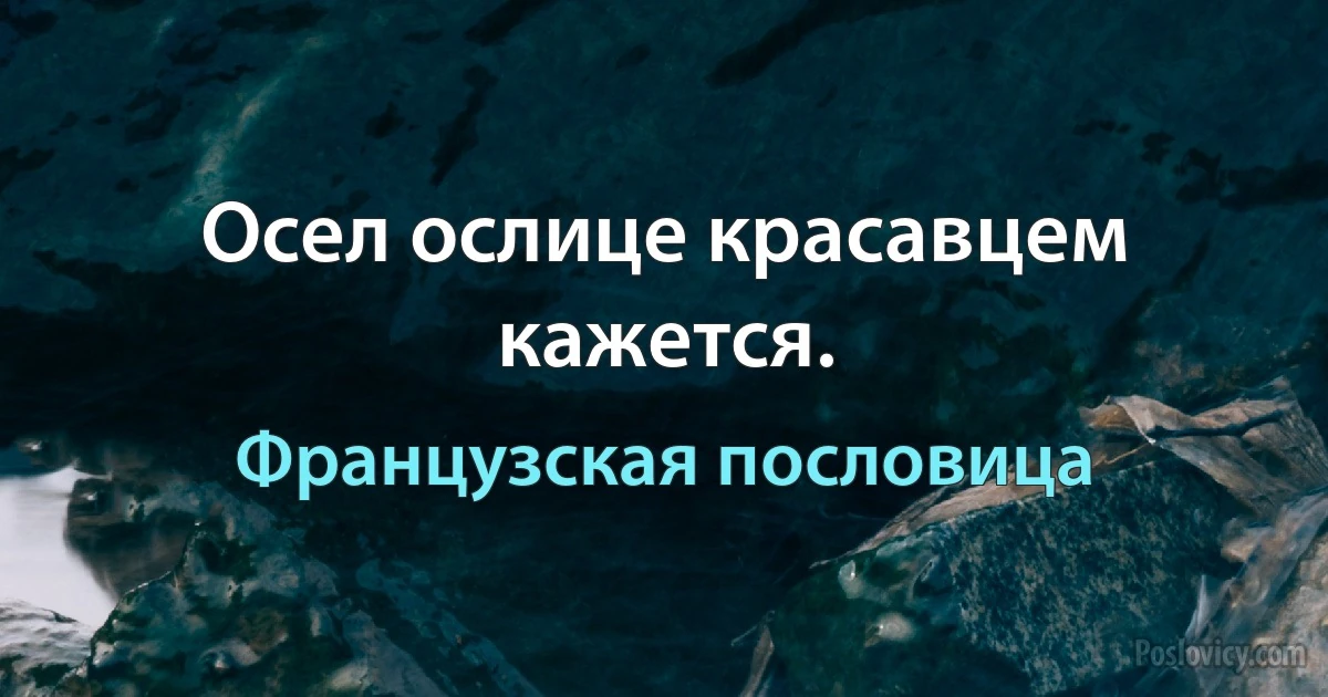 Осел ослице красавцем кажется. (Французская пословица)