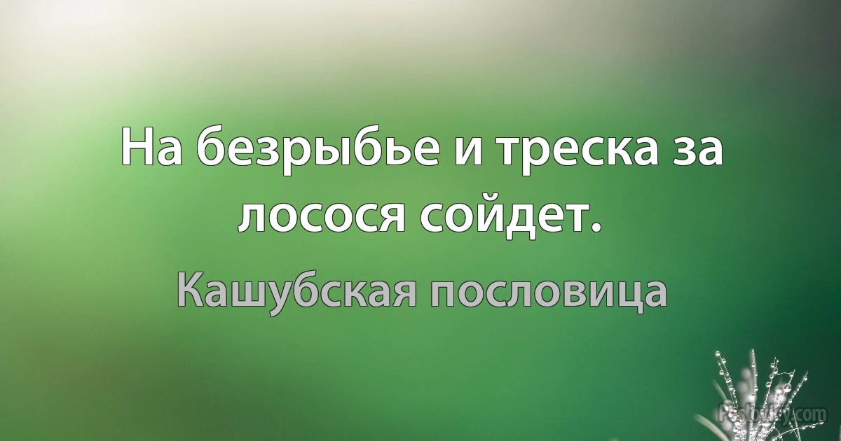 На безрыбье и треска за лосося сойдет. (Кашубская пословица)