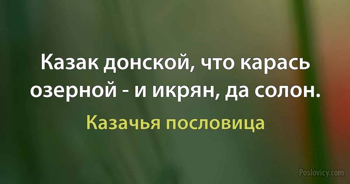 Казак донской, что карась озерной - и икрян, да солон. (Казачья пословица)