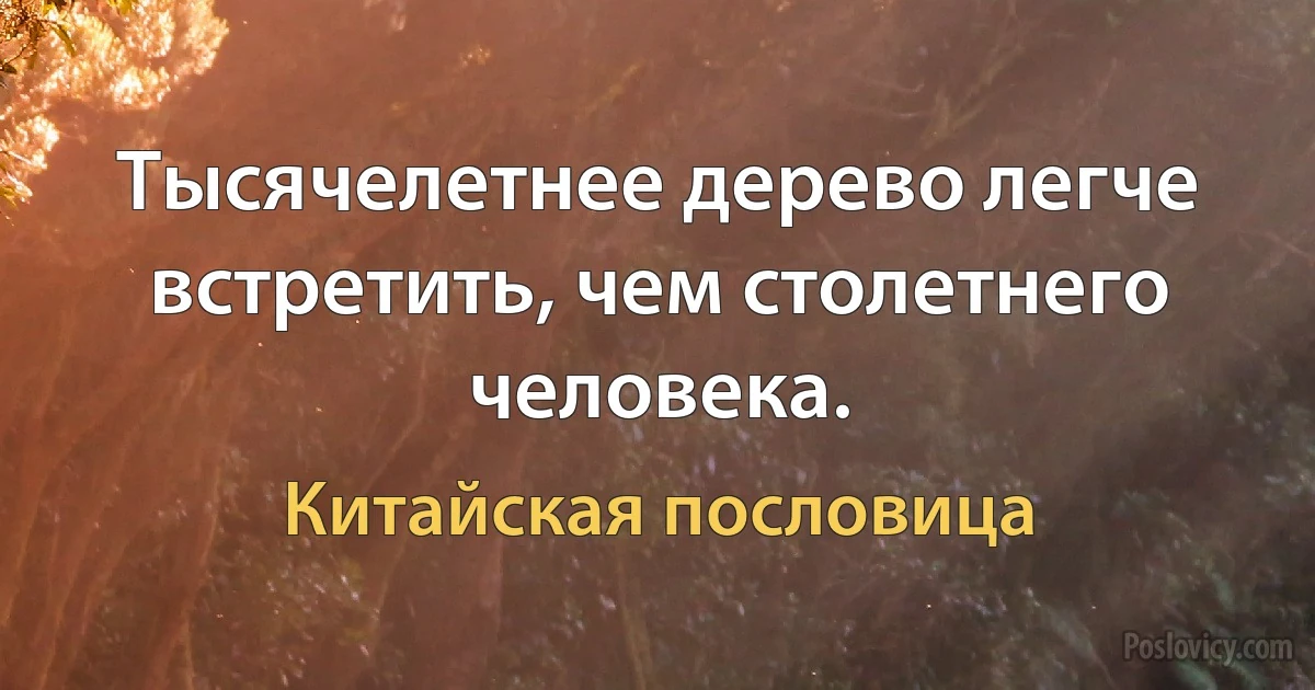 Тысячелетнее дерево легче встретить, чем столетнего человека. (Китайская пословица)