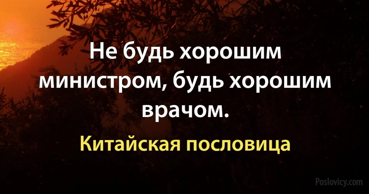 Не будь хорошим министром, будь хорошим врачом. (Китайская пословица)