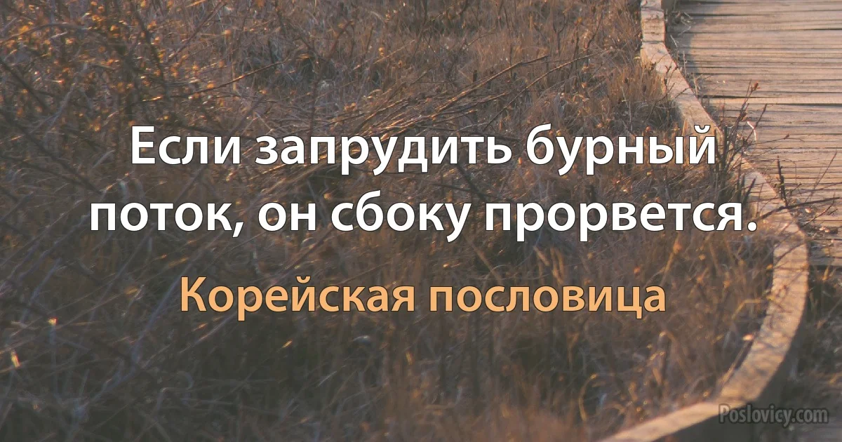 Если запрудить бурный поток, он сбоку прорвется. (Корейская пословица)