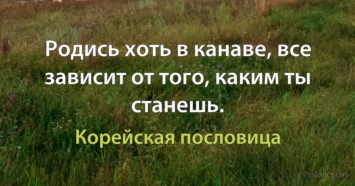 Родись хоть в канаве, все зависит от того, каким ты станешь. (Корейская пословица)