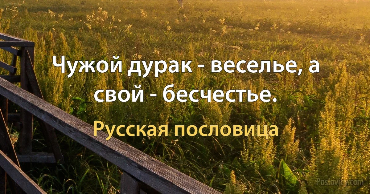 Чужой дурак - веселье, а свой - бесчестье. (Русская пословица)