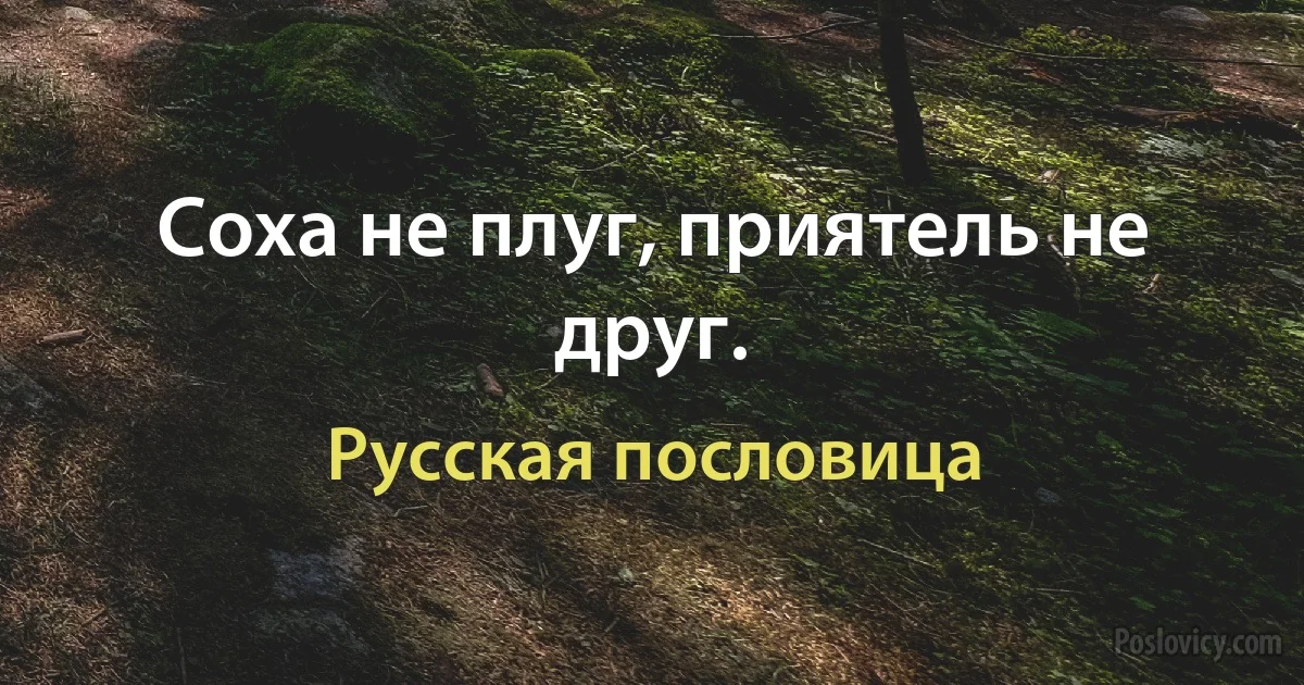 Соха не плуг, приятель не друг. (Русская пословица)