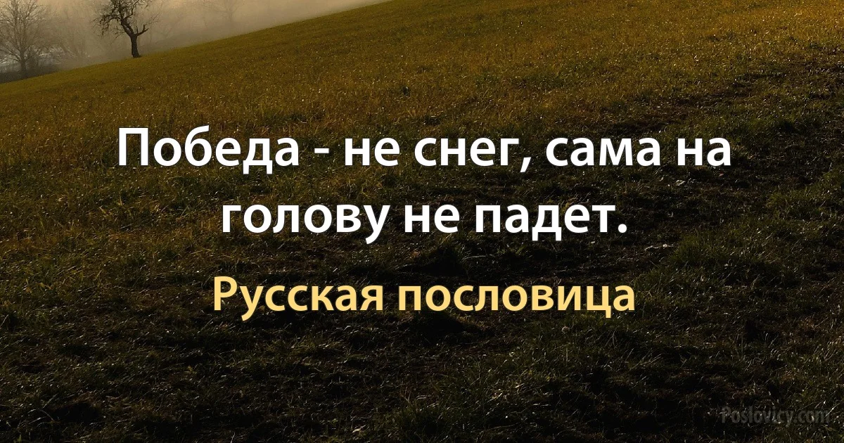 Победа - не снег, сама на голову не падет. (Русская пословица)