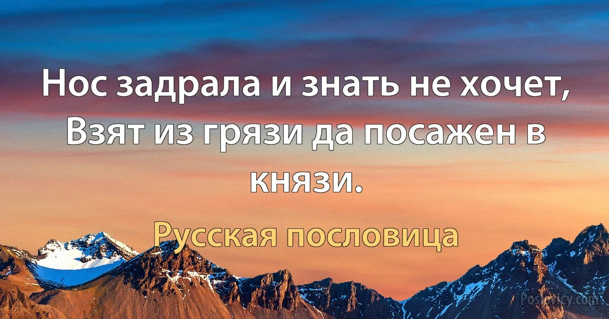 Нос задрала и знать не хочет, Взят из грязи да посажен в князи. (Русская пословица)