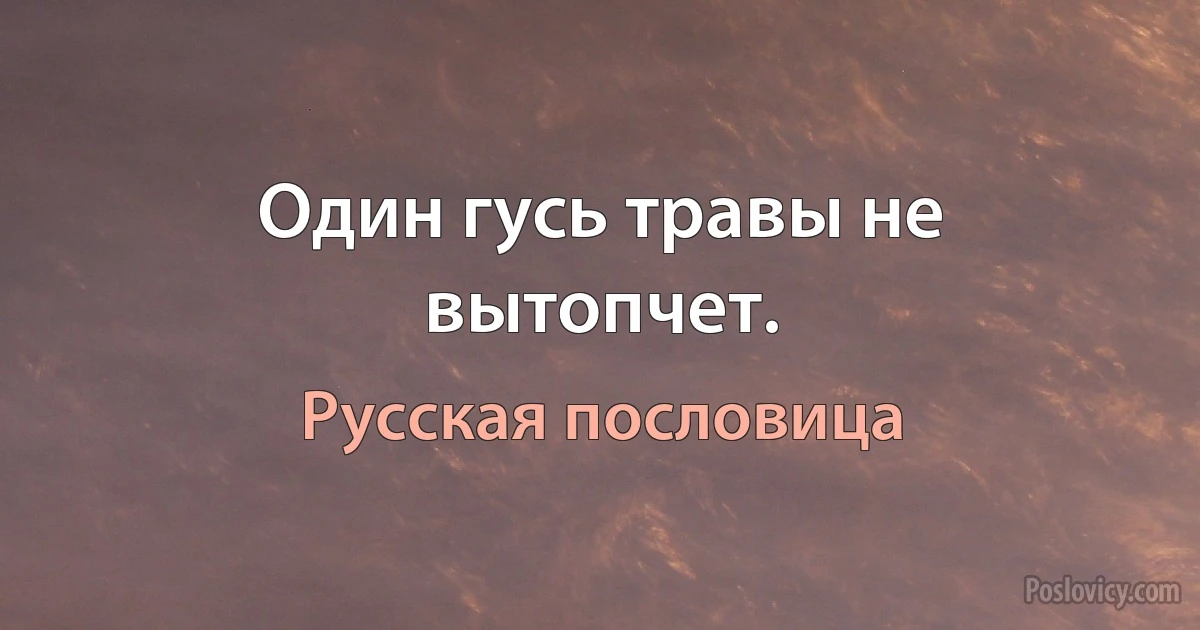 Один гусь травы не вытопчет. (Русская пословица)