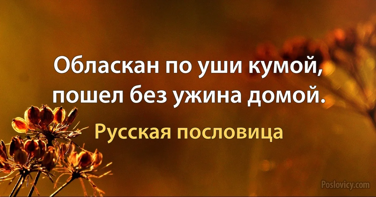 Обласкан по уши кумой, пошел без ужина домой. (Русская пословица)