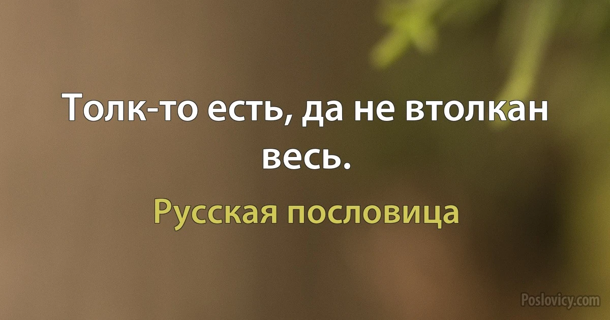 Толк-то есть, да не втолкан весь. (Русская пословица)