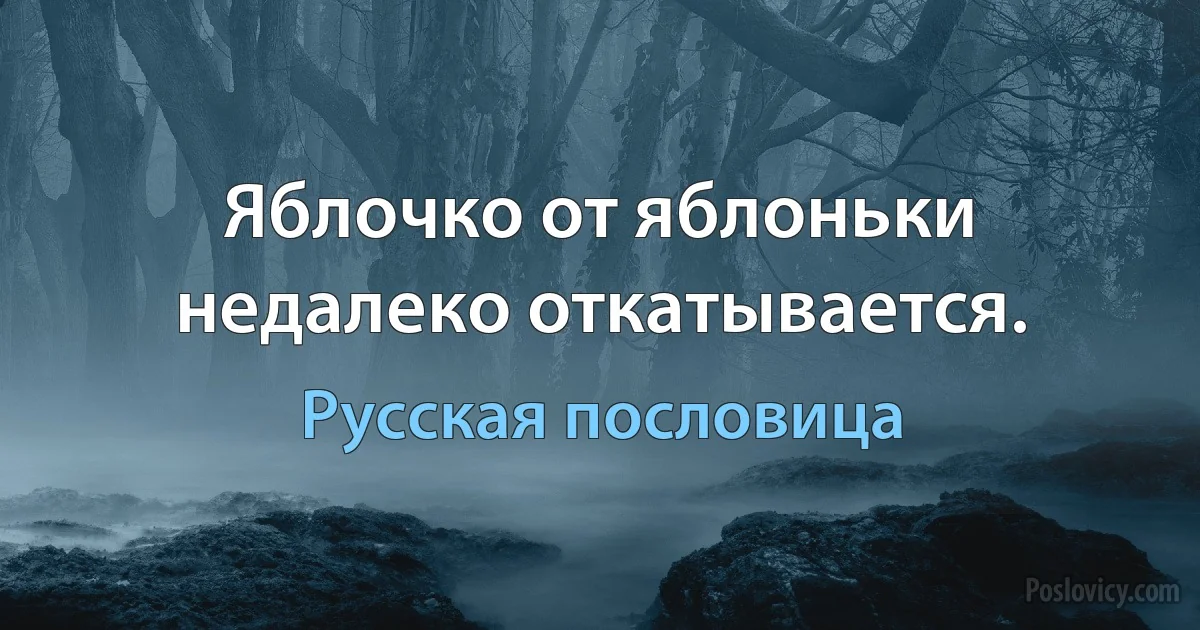 Яблочко от яблоньки недалеко откатывается. (Русская пословица)