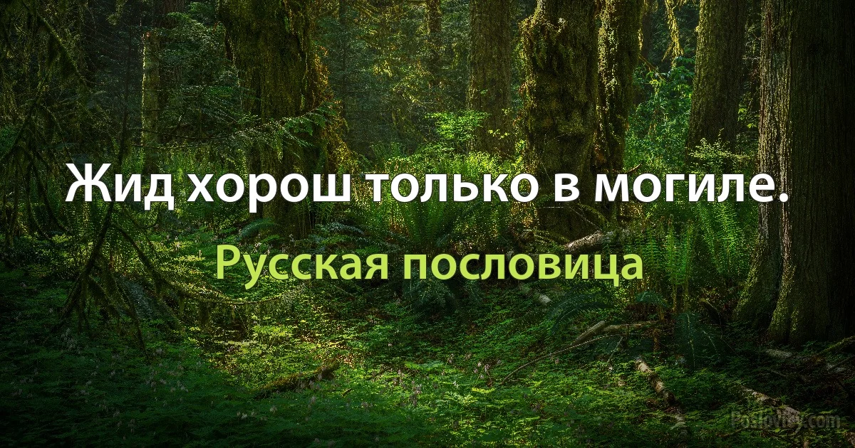 Жид хорош только в могиле. (Русская пословица)