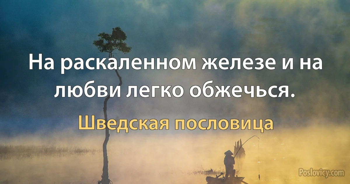 На раскаленном железе и на любви легко обжечься. (Шведская пословица)