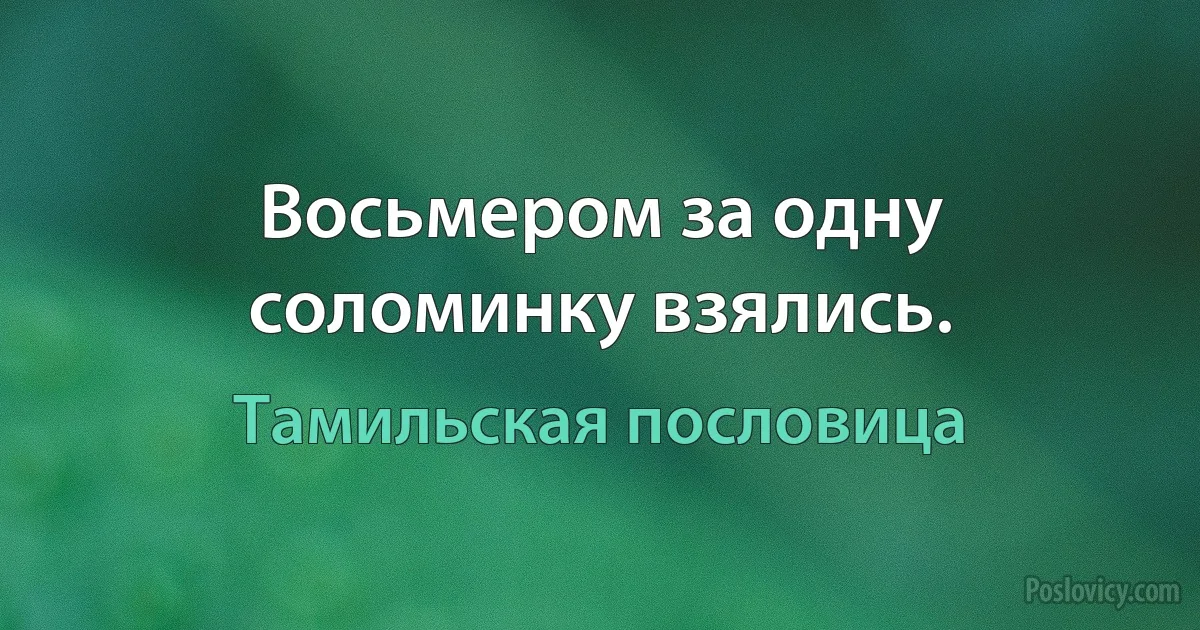 Восьмером за одну соломинку взялись. (Тамильская пословица)