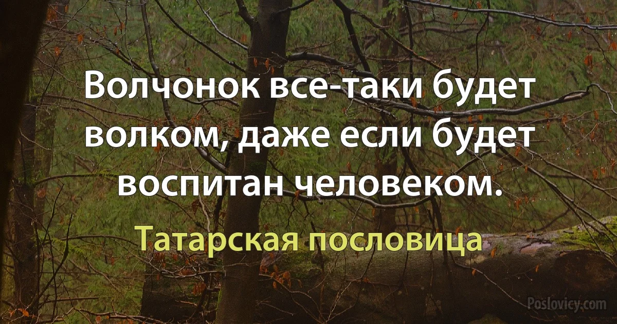 Волчонок все-таки будет волком, даже если будет воспитан человеком. (Татарская пословица)