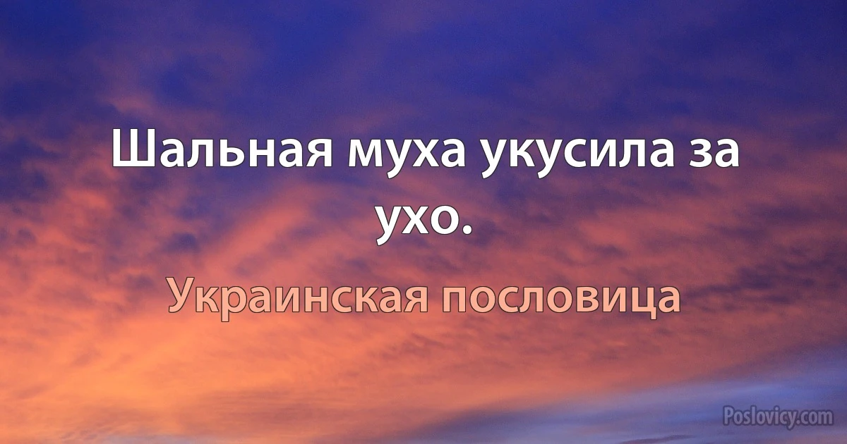 Шальная муха укусила за ухо. (Украинская пословица)