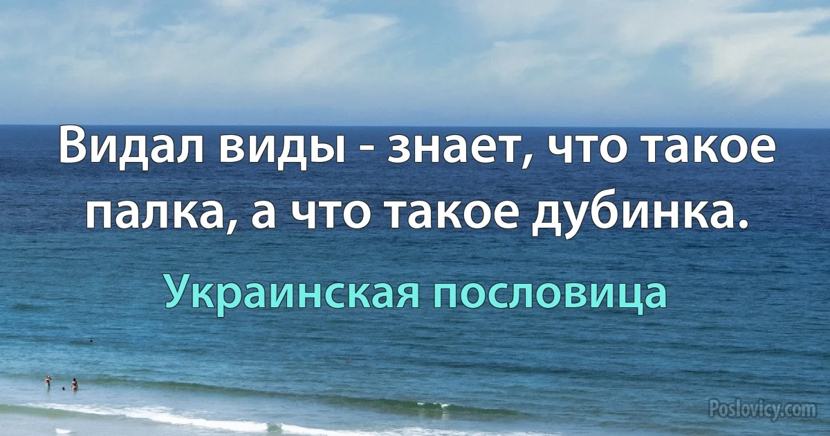 Видал виды - знает, что такое палка, а что такое дубинка. (Украинская пословица)