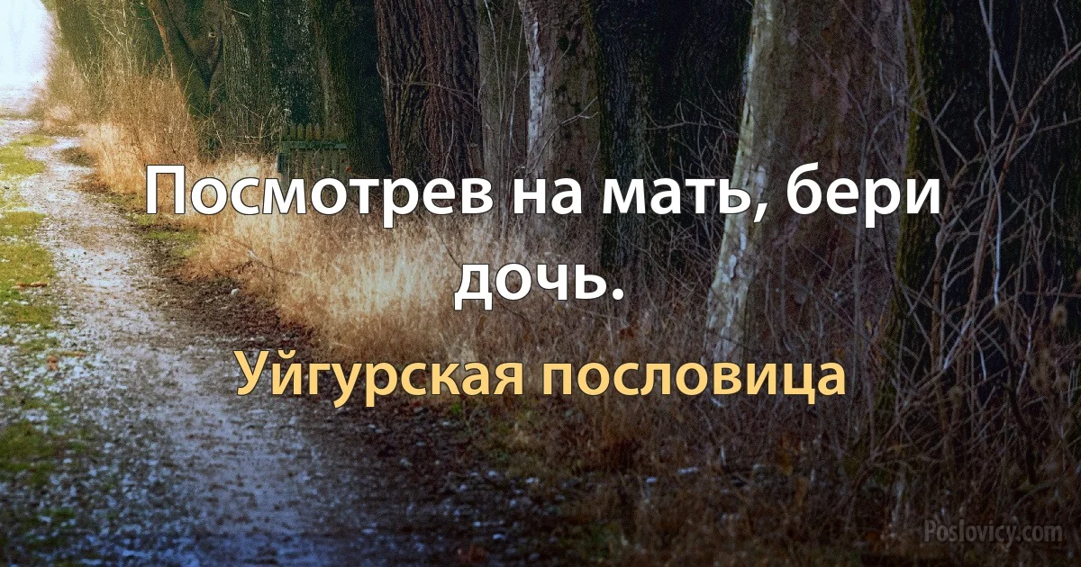 Посмотрев на мать, бери дочь. (Уйгурская пословица)