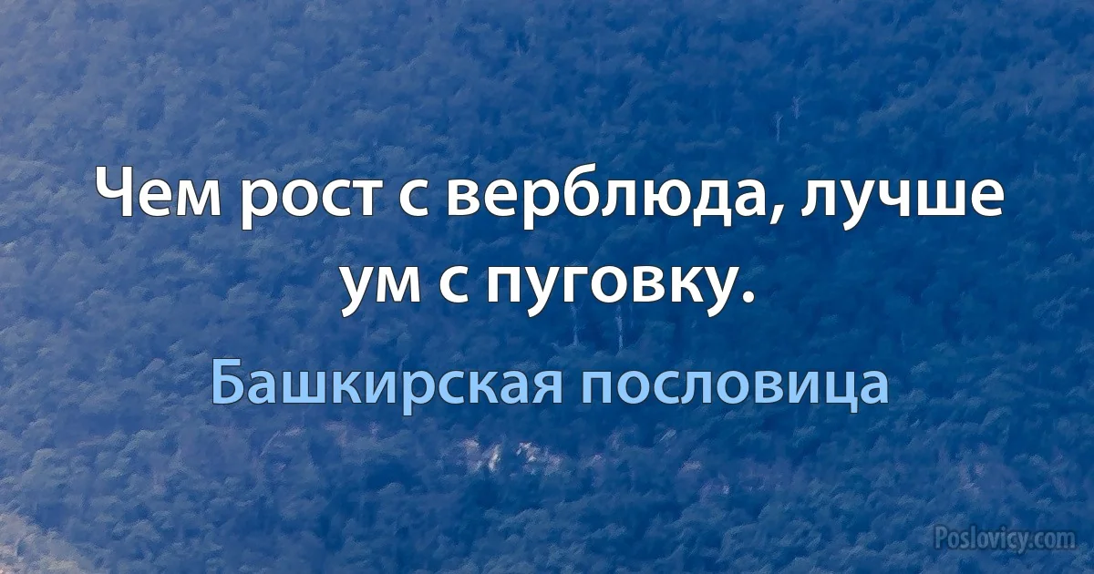 Чем рост с верблюда, лучше ум с пуговку. (Башкирская пословица)