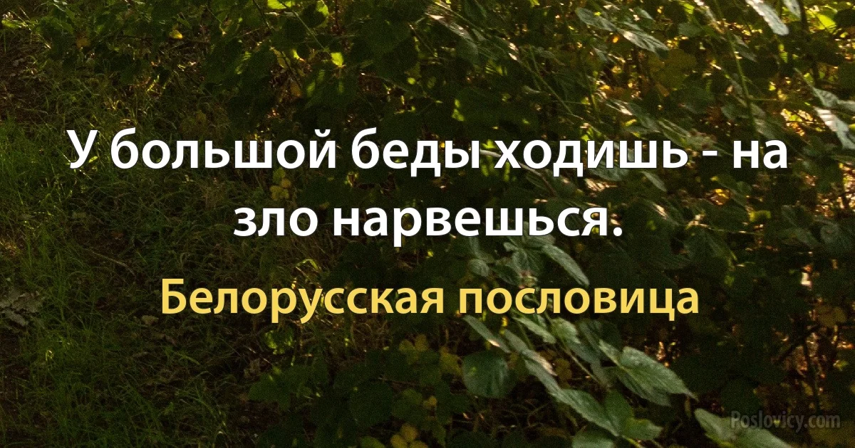 У большой беды ходишь - на зло нарвешься. (Белорусская пословица)