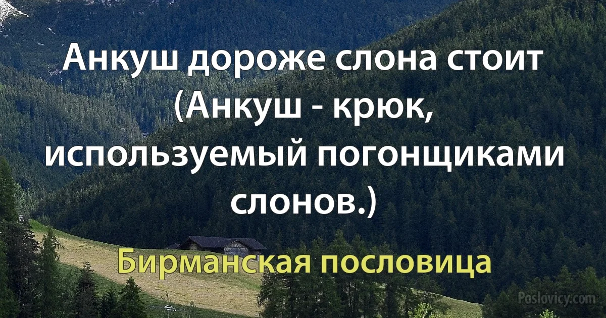 Анкуш дороже слона стоит (Анкуш - крюк, используемый погонщиками слонов.) (Бирманская пословица)