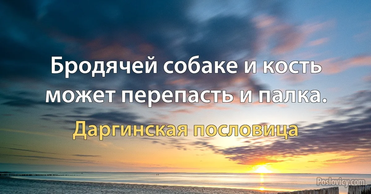 Бродячей собаке и кость может перепасть и палка. (Даргинская пословица)