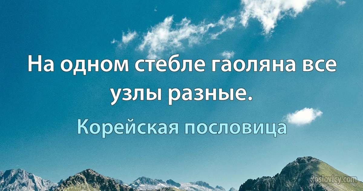 На одном стебле гаоляна все узлы разные. (Корейская пословица)