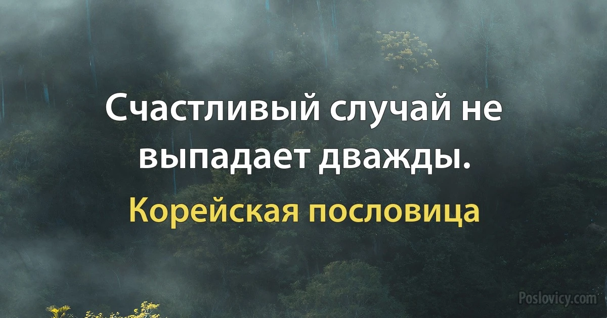 Счастливый случай не выпадает дважды. (Корейская пословица)