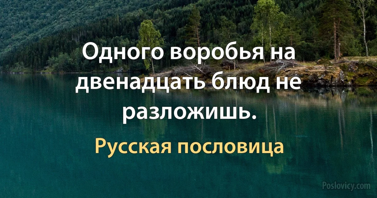 Одного воробья на двенадцать блюд не разложишь. (Русская пословица)