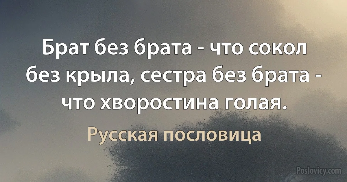 Брат без брата - что сокол без крыла, сестра без брата - что хворостина голая. (Русская пословица)