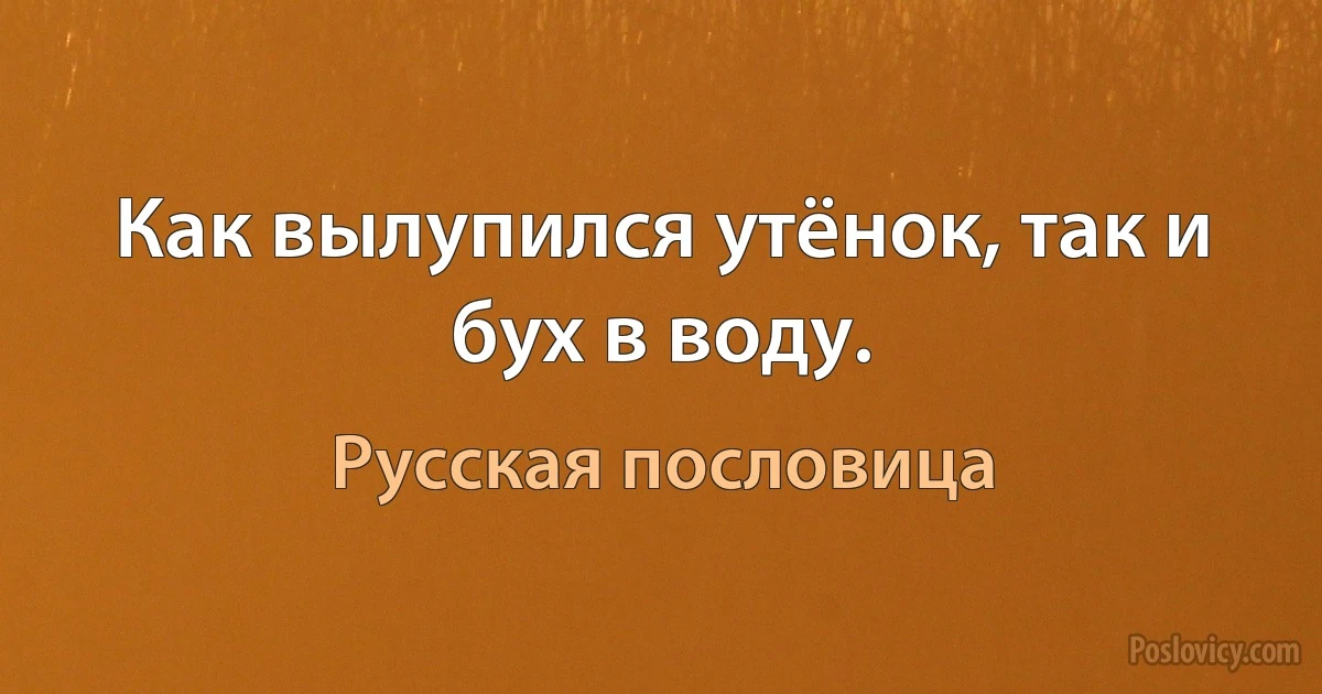 Как вылупился утёнок, так и бух в воду. (Русская пословица)