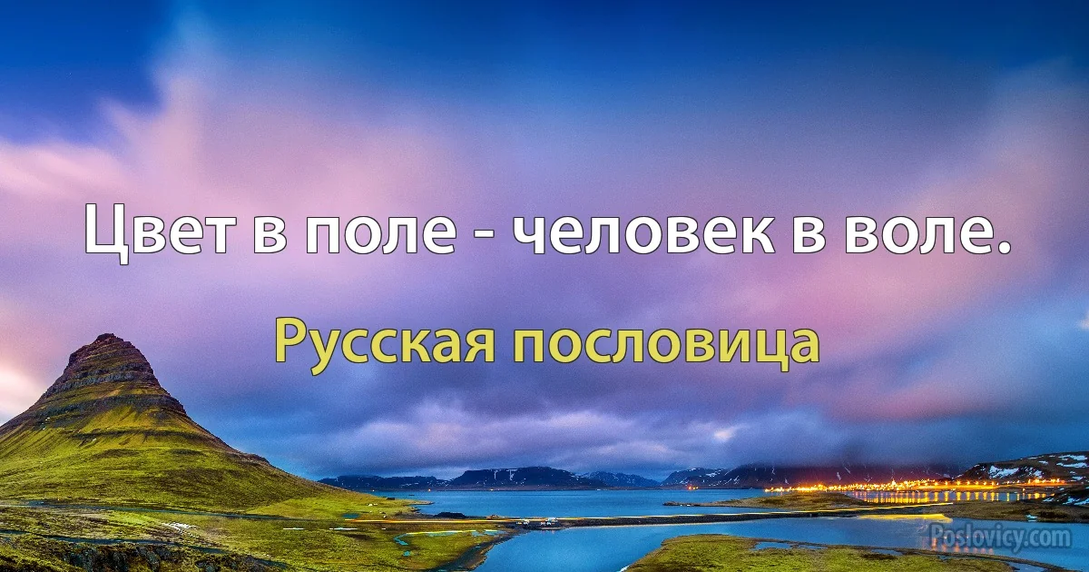 Цвет в поле - человек в воле. (Русская пословица)