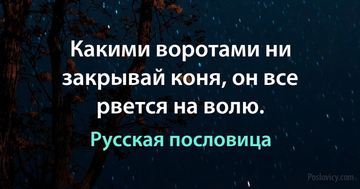 Какими воротами ни закрывай коня, он все рвется на волю. (Русская пословица)