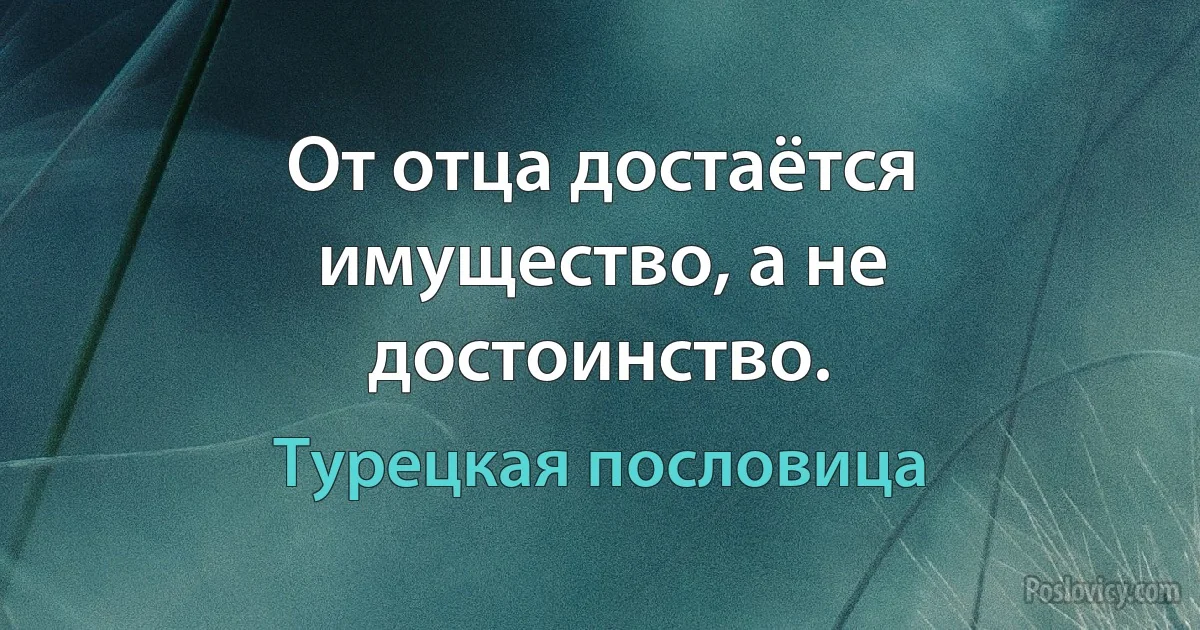 От отца достаётся имущество, а не достоинство. (Турецкая пословица)