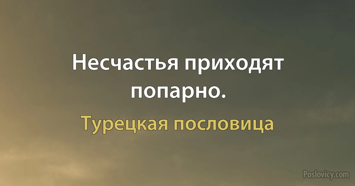 Несчастья приходят попарно. (Турецкая пословица)