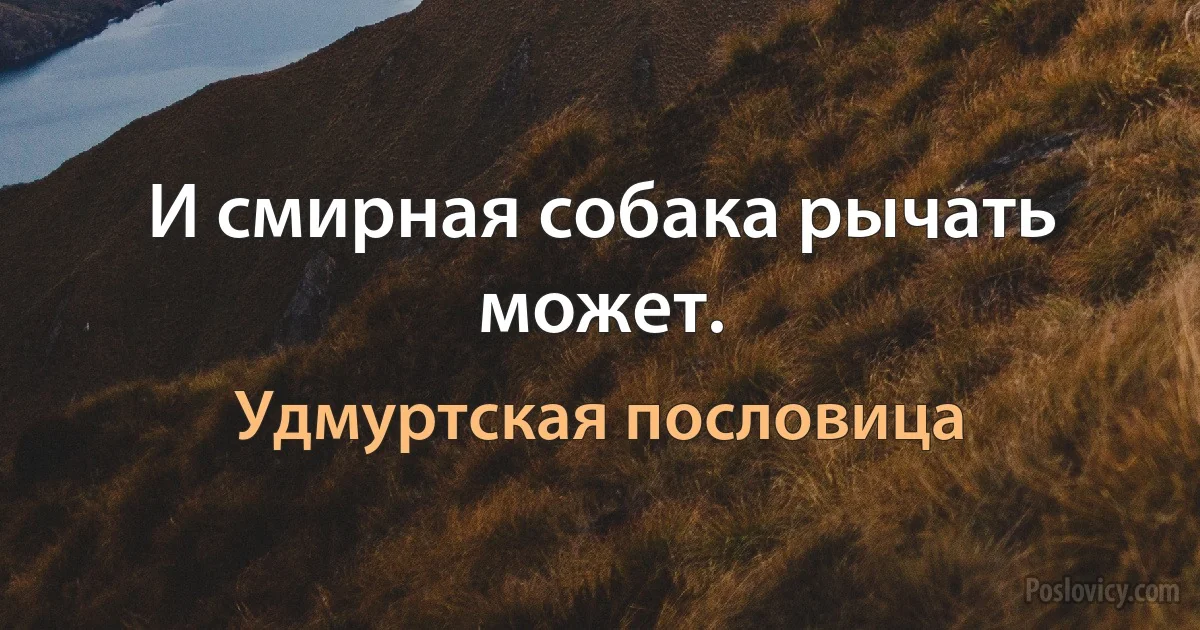 И смирная собака рычать может. (Удмуртская пословица)