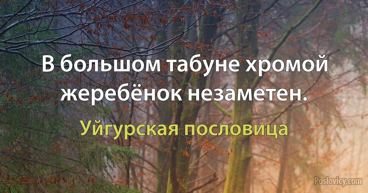 В большом табуне хромой жеребёнок незаметен. (Уйгурская пословица)