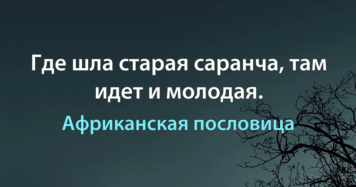 Где шла старая саранча, там идет и молодая. (Африканская пословица)