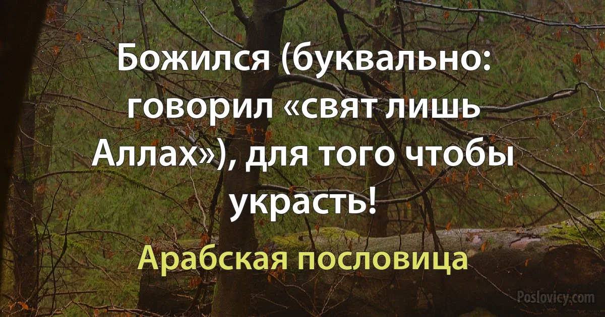 Божился (буквально: говорил «свят лишь Аллах»), для того чтобы украсть! (Арабская пословица)